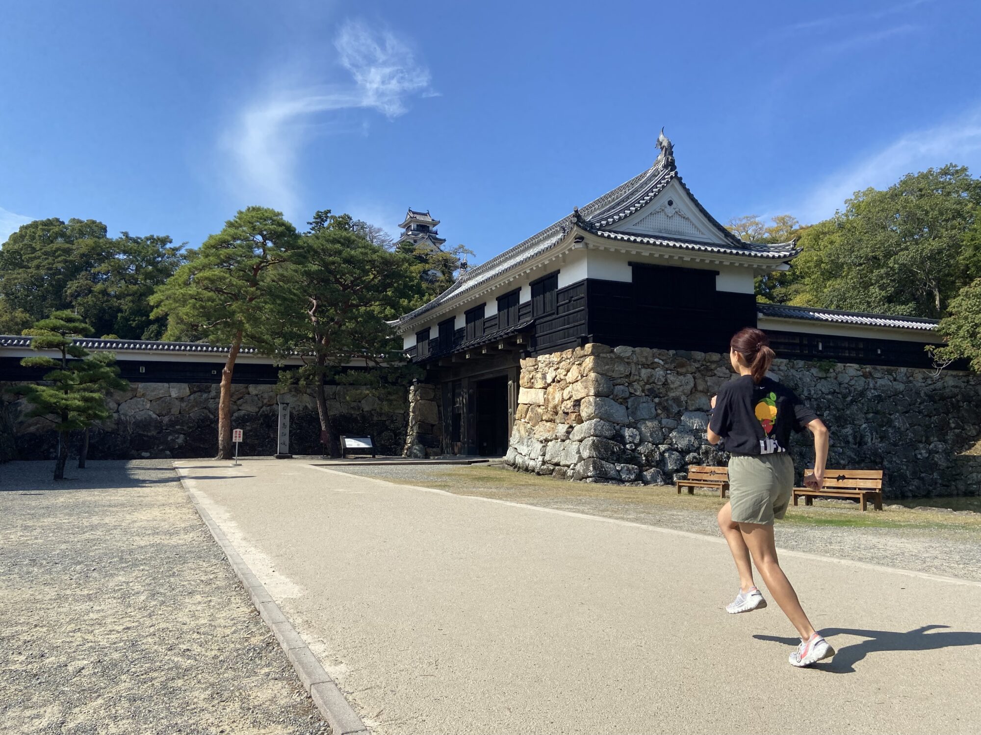 高知城